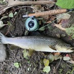 8F5A27CB-A510-451E-A369-A5DAB0F3090A_1_105_c